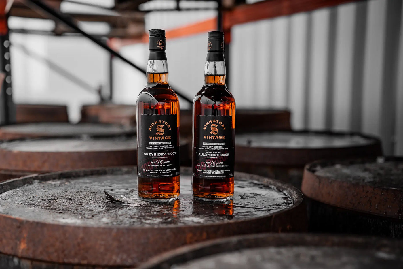 Signatory Vintage 100 Proof Edition - Zwei Speyside-Juwelen aus 2009