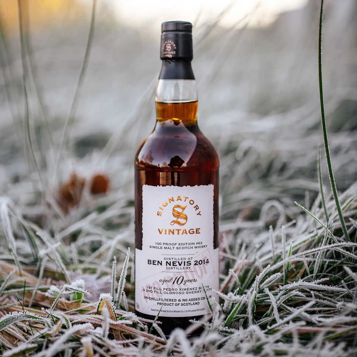  Ben Nevis 100 Proof Edition #63 10 Jahre 2014/2025 Islay Single Malt Scotch Whisky steht in gefrorenem Gras