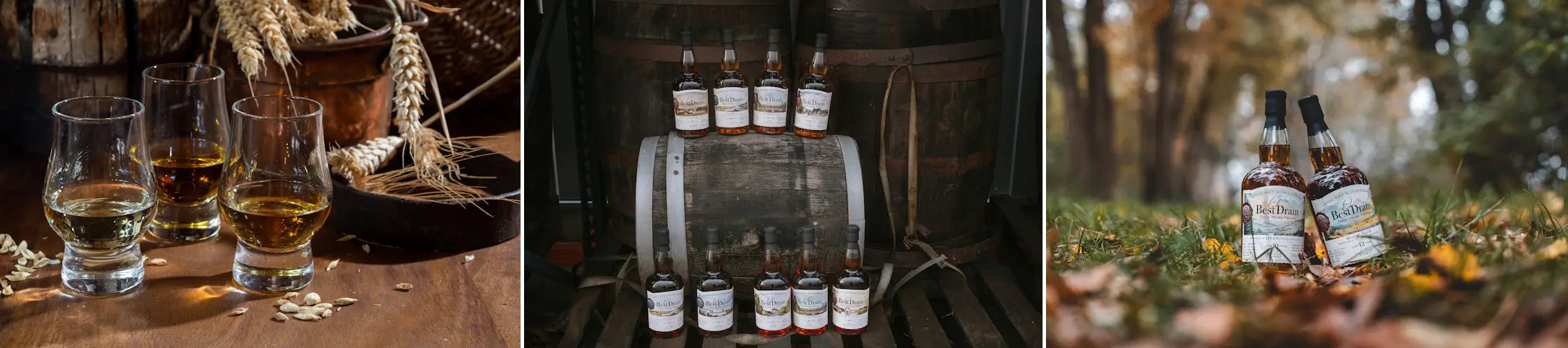 Best Dram Single Malt Scotch Whisky