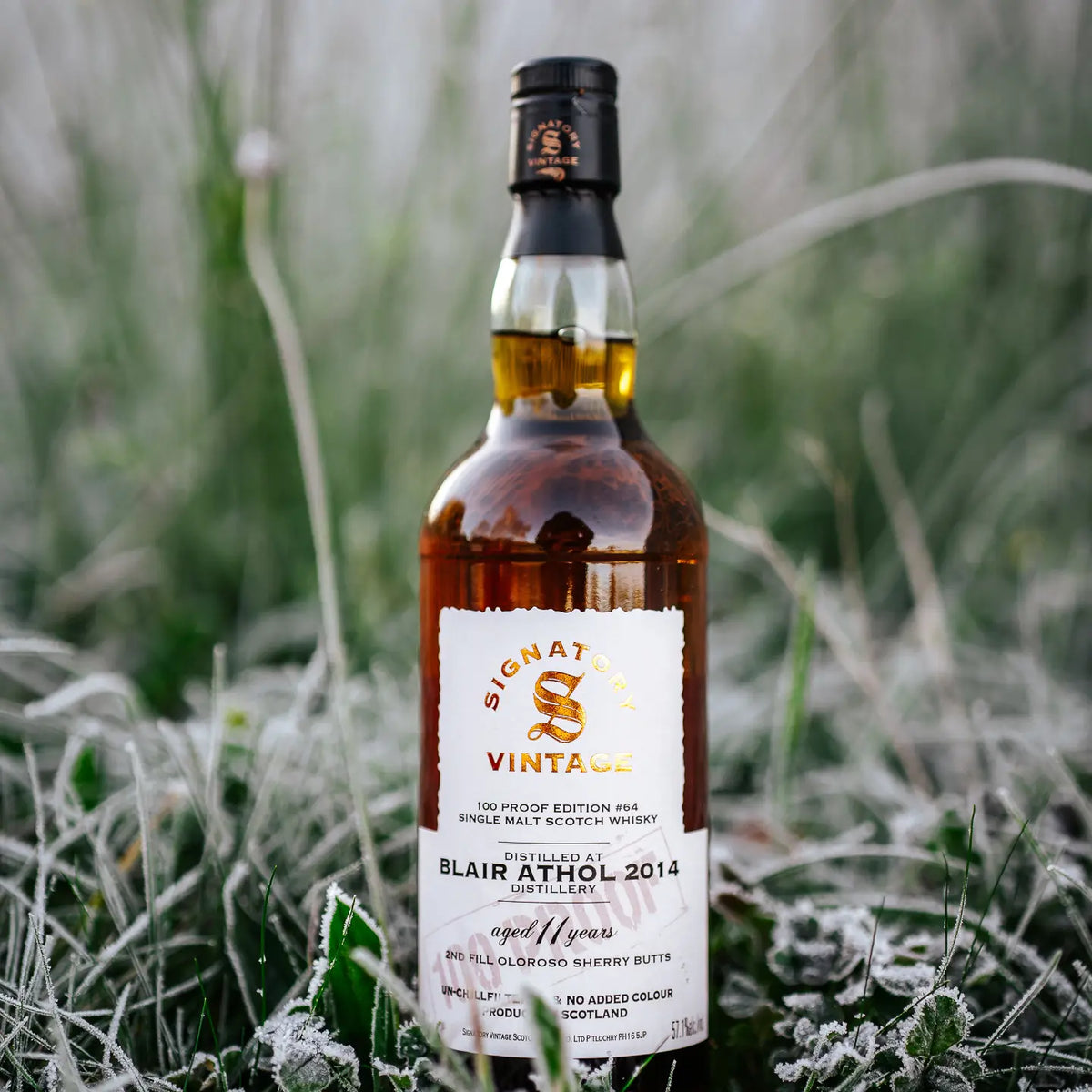Blair Athol 100 Proof Edition #64 11 Jahre 2014/2025 Islay Single Malt Scotch Whisky steht in gefrorenem Glas