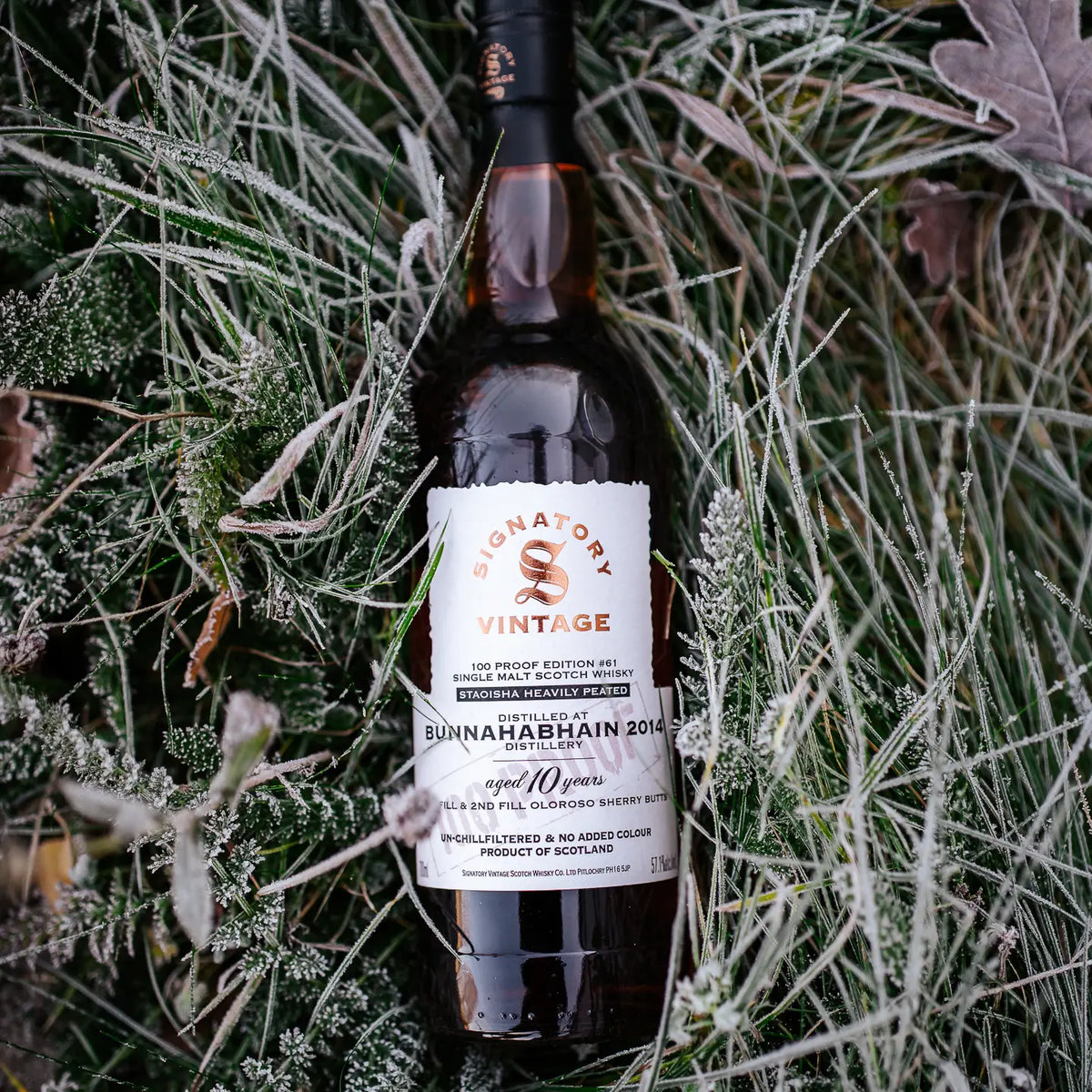 Bunnahabhain Staoisha 100 Proof Edition #61 10 Jahre 2014/2025 liegt in grünem gefrorenen Gras