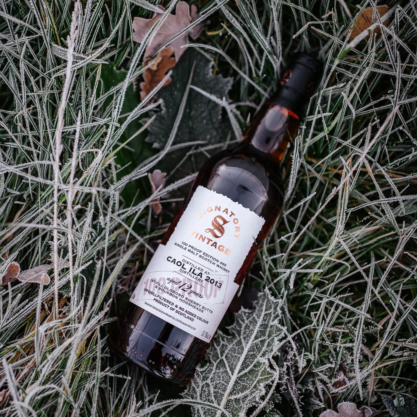 Caol Ila 100 Proof Edition #65 12 Jahre 2013/2025 Islay Single Malt Scotch Whisky liegt in gefrorenem Gras