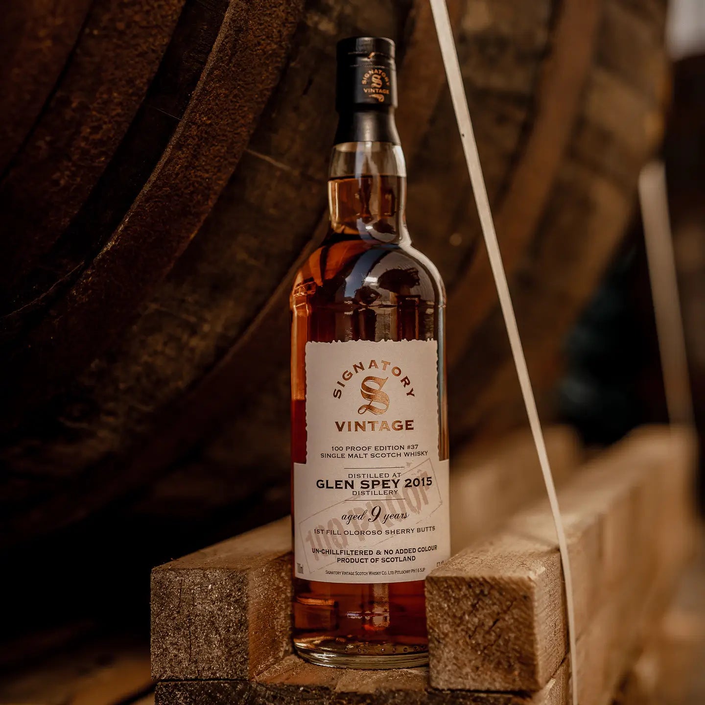 Glen Spey 100 Proof Edition #37 9 Jahre 2015/2025 Speyside Single Malt Scotch Whisky