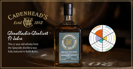 GlenAllachie-Glenlivet Cadenhead's Original Collection 17 Jahre Tasting Notes