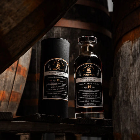 Glenlivet Cask Strength First Fill Oloroso Sherry 19 Jahre 2006/2026 Whisky von Signatory Vintage