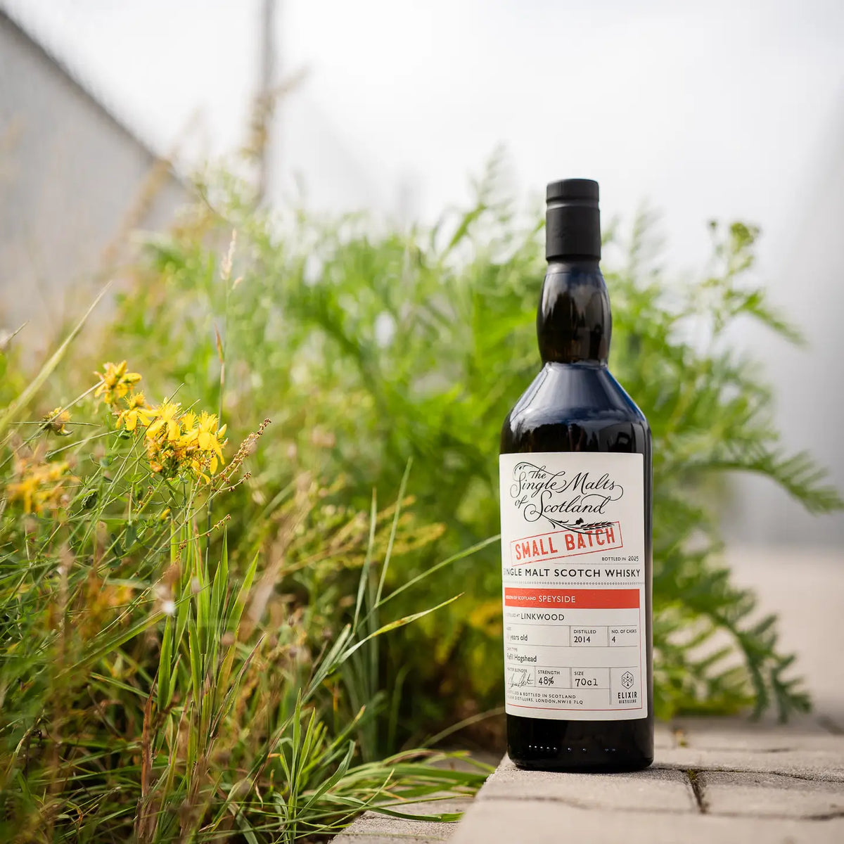 Linkwood Small Batch 11 Jahre 2014/2025 Single Malt Whisky auf Steinweg vor einem grünen Busch