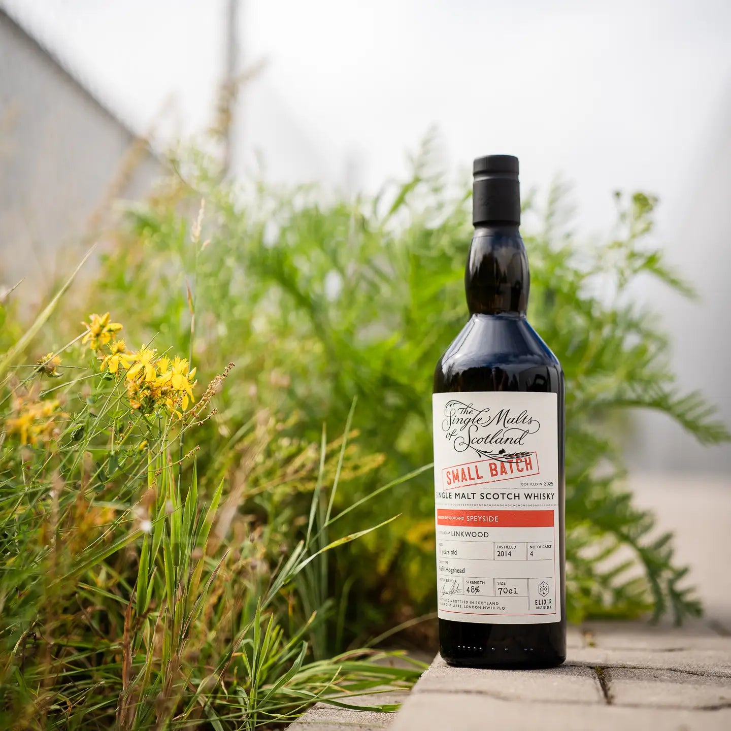 Linkwood Small Batch 11 Jahre 2014/2025 Single Malt Whisky auf Steinweg vor einem grünen Busch