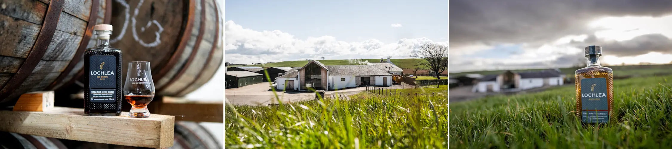 Lochlea Whiskybrennerei und Single Malt Whisky