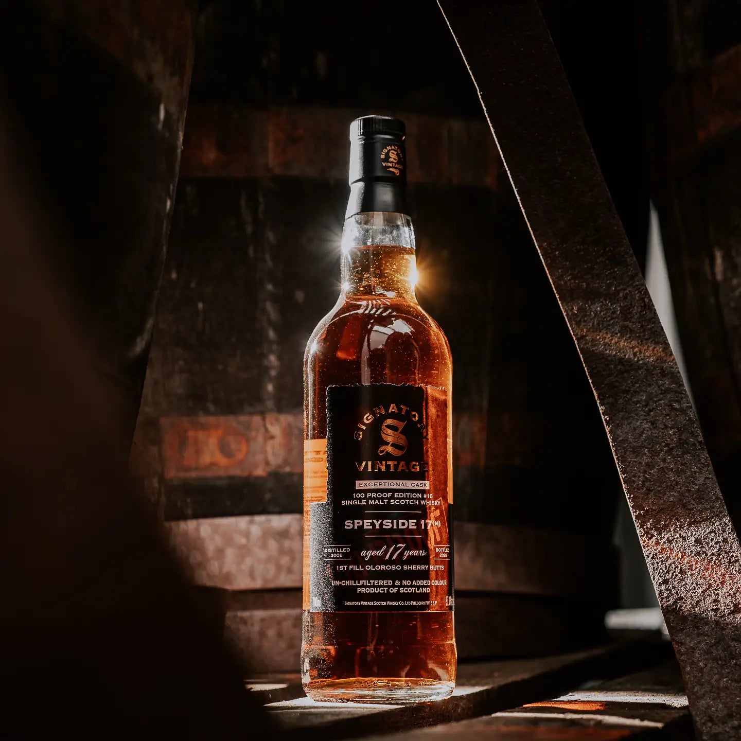Speyside 17 (M) 100 Proof Exceptional Cask Edition #16 17 Jahre 2008/2026 Single Malt Whisky
