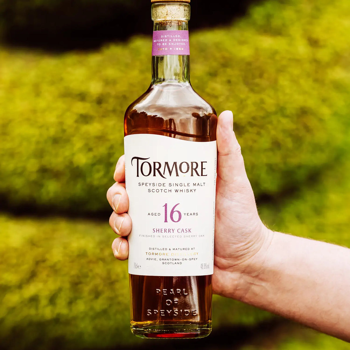 Tormore 16 Jahre Speyside Single Malt Scotch Whisky